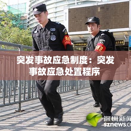 突发事故应急制度：突发事故应急处置程序 