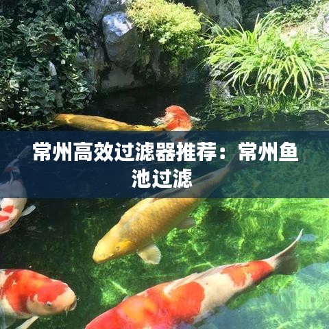 第990页