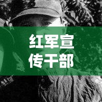联系我们 第77页