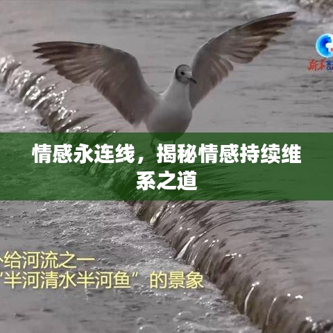 千斤顶 第71页