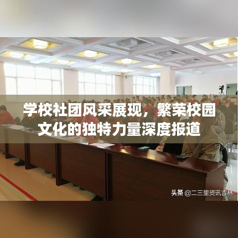 学校社团风采展现，繁荣校园文化的独特力量深度报道