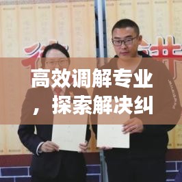 高效调解专业，探索解决纠纷的新路径