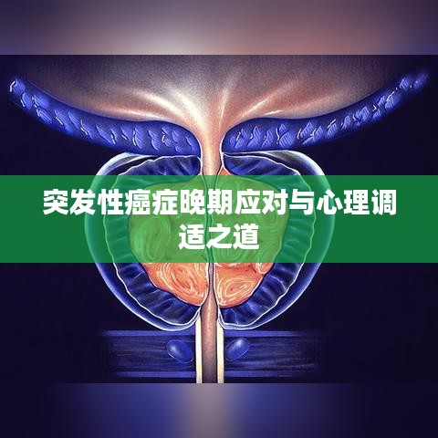 突发性癌症晚期应对与心理调适之道