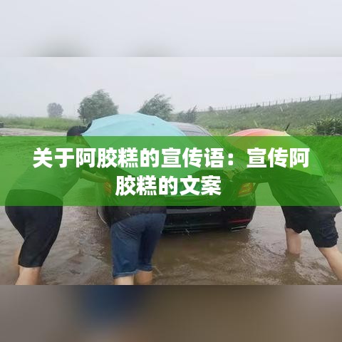 联系我们 第72页