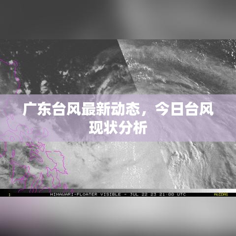 广东台风最新动态，今日台风现状分析