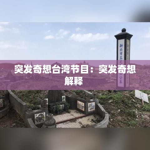 突发奇想台湾节目：突发奇想解释 