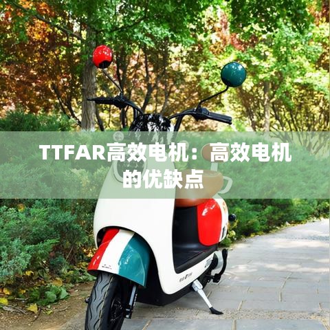TTFAR高效电机：高效电机的优缺点 