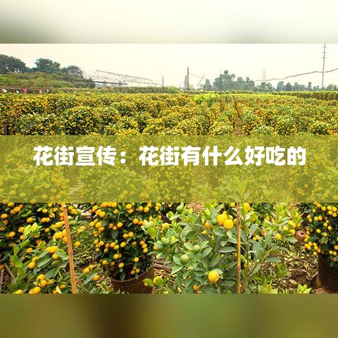 花街宣传：花街有什么好吃的 