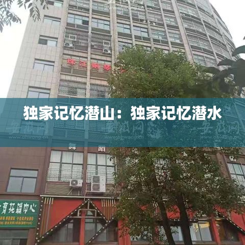 独家记忆潜山：独家记忆潜水 