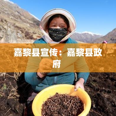 独学寡闻 第2页