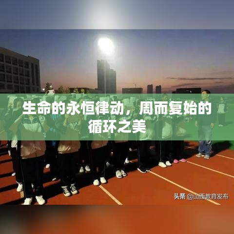 生命的永恒律动，周而复始的循环之美