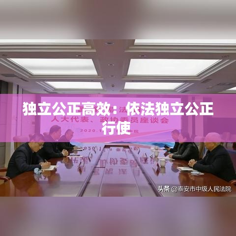 独立公正高效：依法独立公正行使 