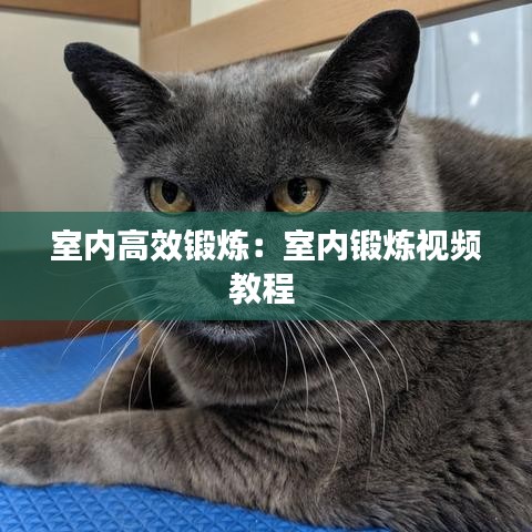 室内高效锻炼：室内锻炼视频教程 