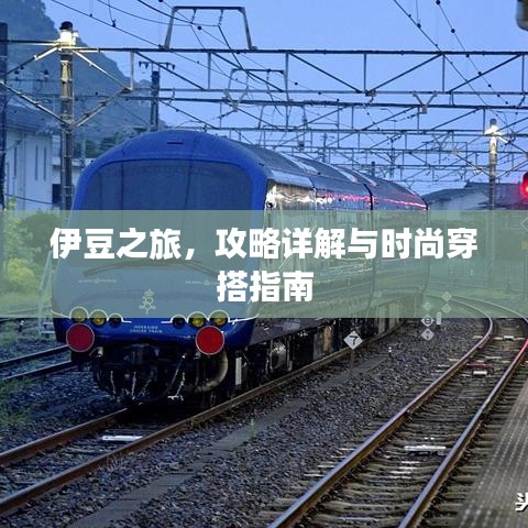 伊豆之旅，攻略详解与时尚穿搭指南