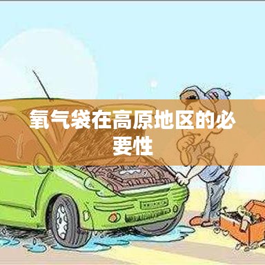 高原地区氧气袋的不可或缺性