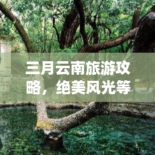三月云南旅游攻略，绝美风光等你来探！