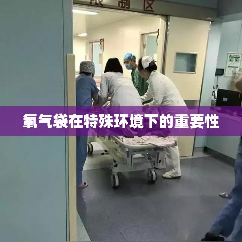 氧气袋特殊环境应用重要性解析