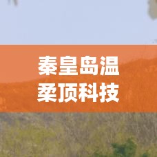秦皇岛温柔顶科技参与汽车安全救援用品国标制定