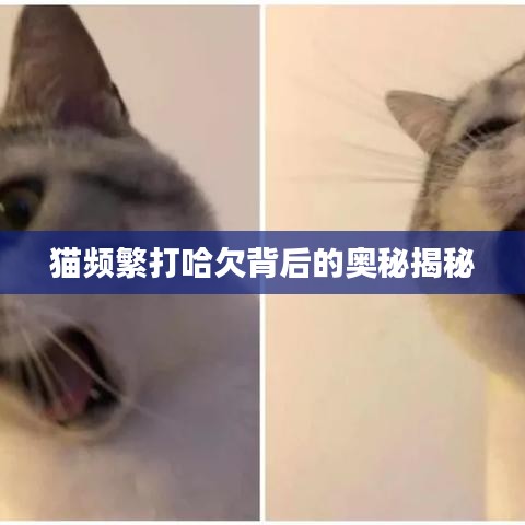 地老天荒 第2页