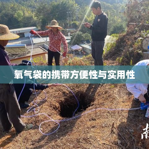 氧气袋