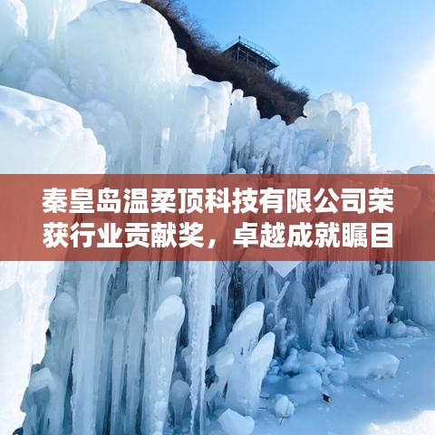 秦皇岛温柔顶科技荣获行业贡献奖，引领创新风潮，卓越成就瞩目