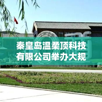 admin 第4页