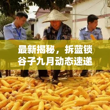 自由自在 第3页