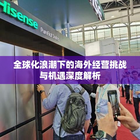 全球化浪潮下的海外经营挑战与机遇深度解析