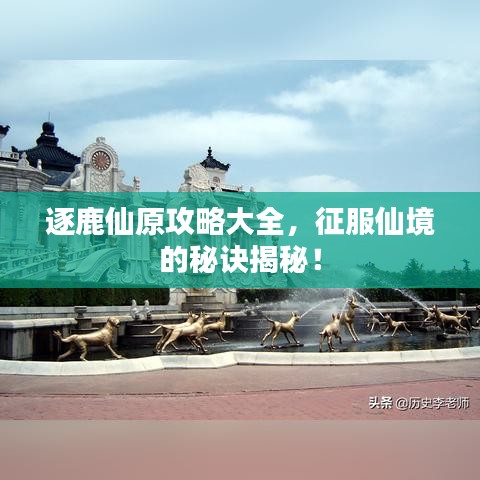 逐鹿仙原攻略大全，征服仙境的秘诀揭秘！