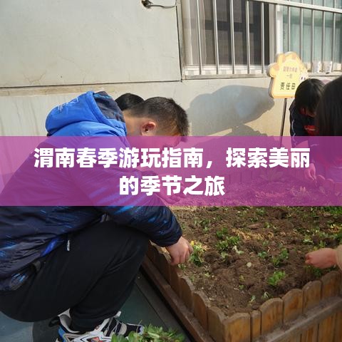 渭南春季游玩指南，探索美丽的季节之旅