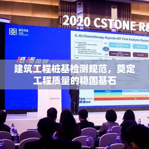 建筑工程桩基检测规范，奠定工程质量的稳固基石