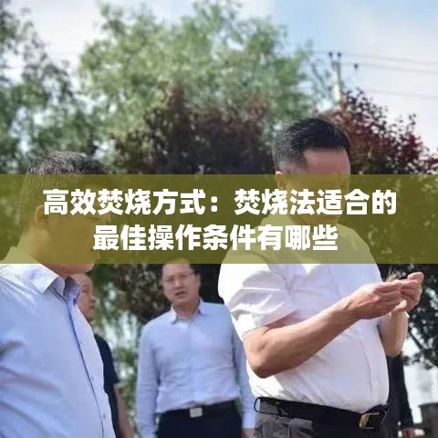 高效焚烧方式：焚烧法适合的最佳操作条件有哪些 