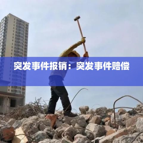 突发事件报销：突发事件赔偿 