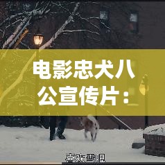 电影忠犬八公宣传片：电影忠犬八公国语在线观看完整 
