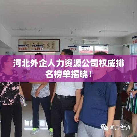河北外企人力资源公司权威排名榜单揭晓！