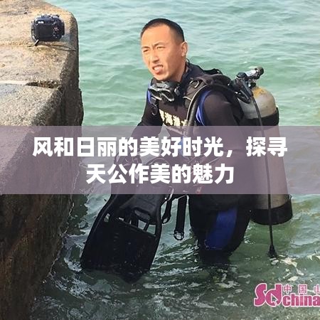 风和日丽的美好时光，探寻天公作美的魅力