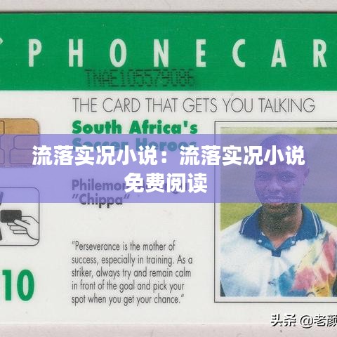 流落实况小说：流落实况小说免费阅读 