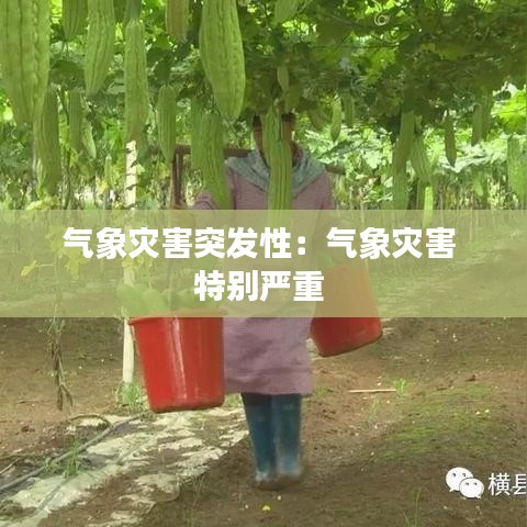 气象灾害突发性：气象灾害 特别严重 