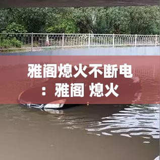 雅人深致 第2页