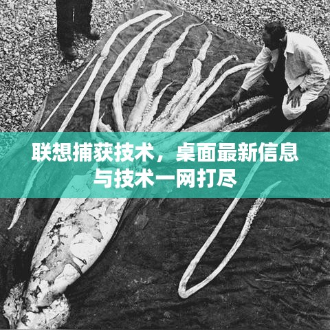 联想捕获技术，桌面最新信息与技术一网打尽