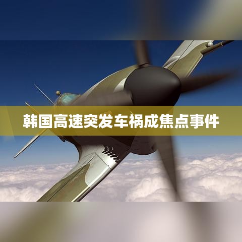 韩国高速突发车祸成焦点事件