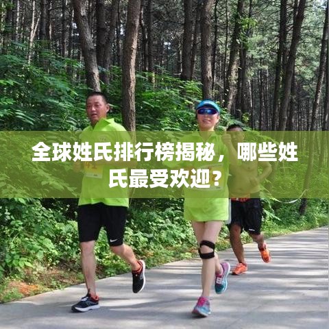 全球姓氏排行榜揭秘，哪些姓氏最受欢迎？
