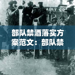 部队禁酒落实方案范文：部队禁酒令专题教育 
