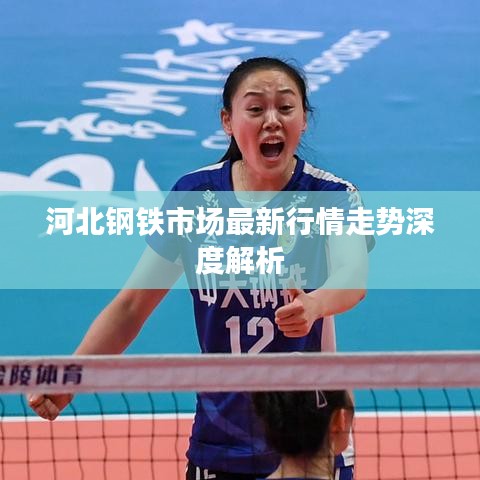 河北钢铁市场最新行情走势深度解析