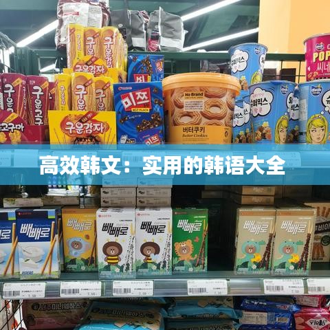 高效韩文：实用的韩语大全 