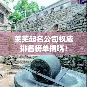 莱芜起名公司权威排名榜单揭晓！