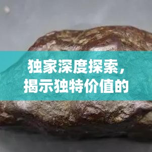 独家深度探索，揭示独特价值的奥秘之旅