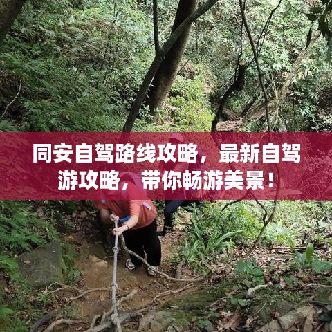 同安自驾路线攻略，最新自驾游攻略，带你畅游美景！