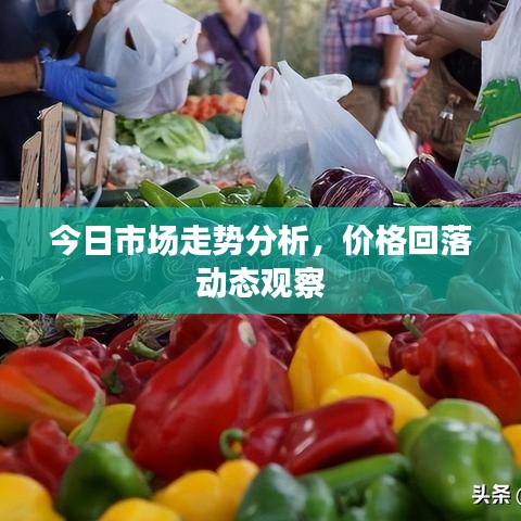 救急包 第31页