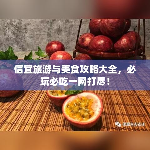 信宜旅游与美食攻略大全，必玩必吃一网打尽！